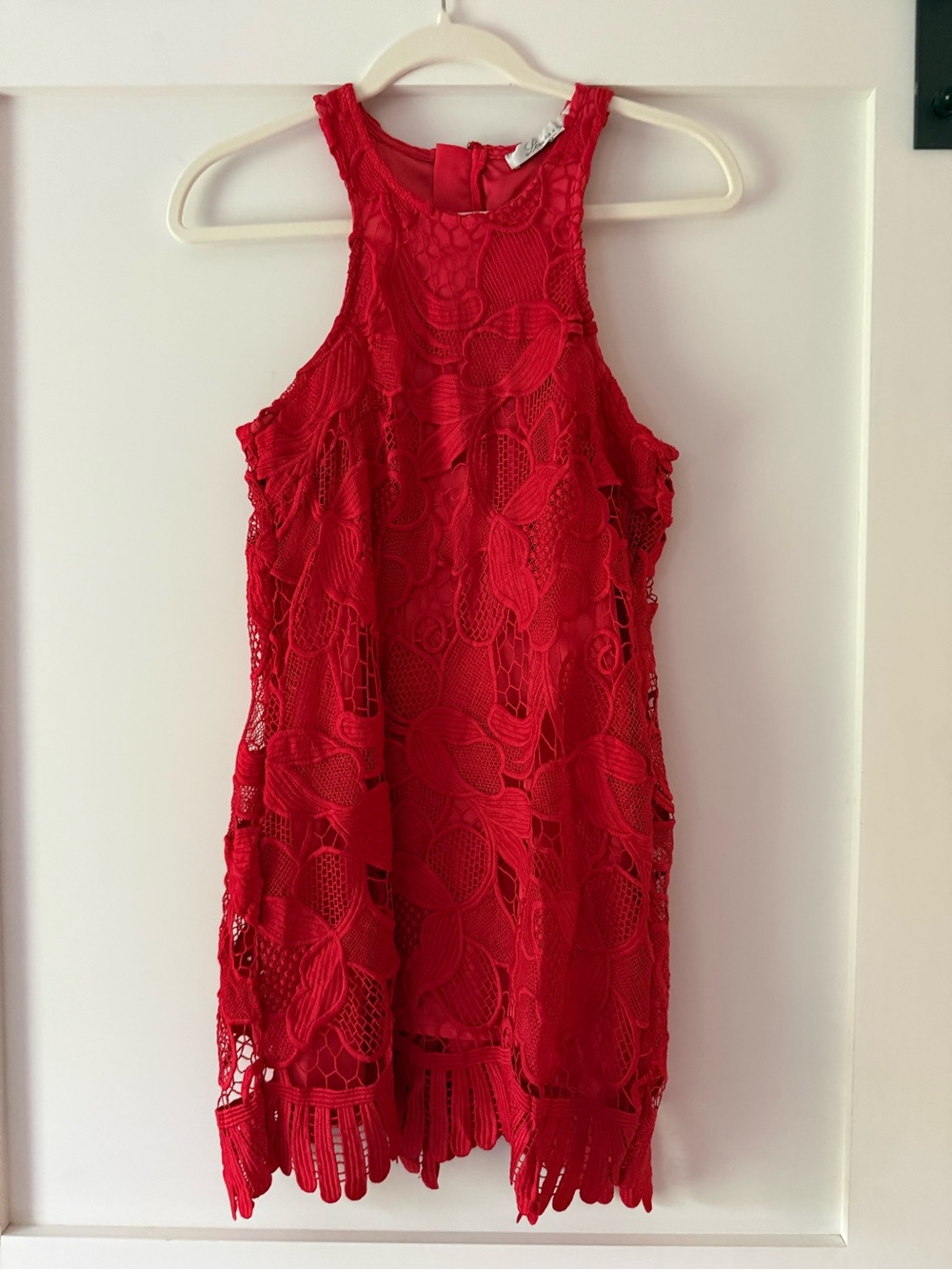 Lovers + Friends Red Lace Mini Dress